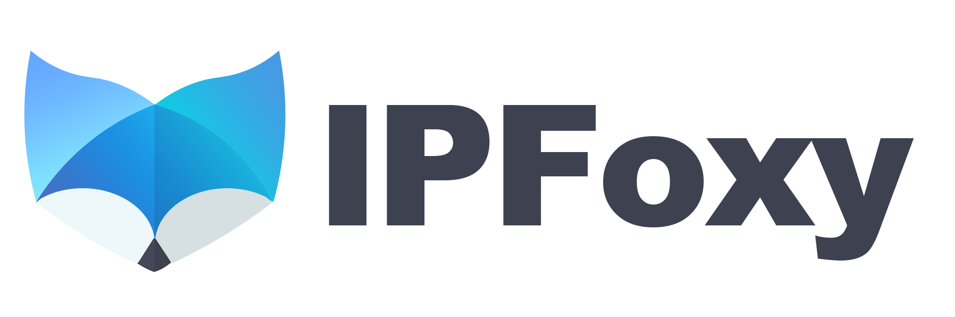 Enterprise-level Global Proxy IP Services